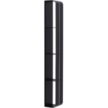 Полка Aquanet Магнум 302226 15x100 черный матовый