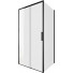 Душевой уголок Aquanet Pleasure Evo AE65-100x90-BT 324131 100x90 черный/прозрачное