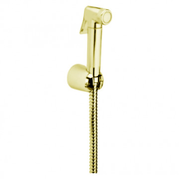 Душевой гарнитур Webert Comfort AM0433065, бронза